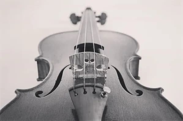 Violin